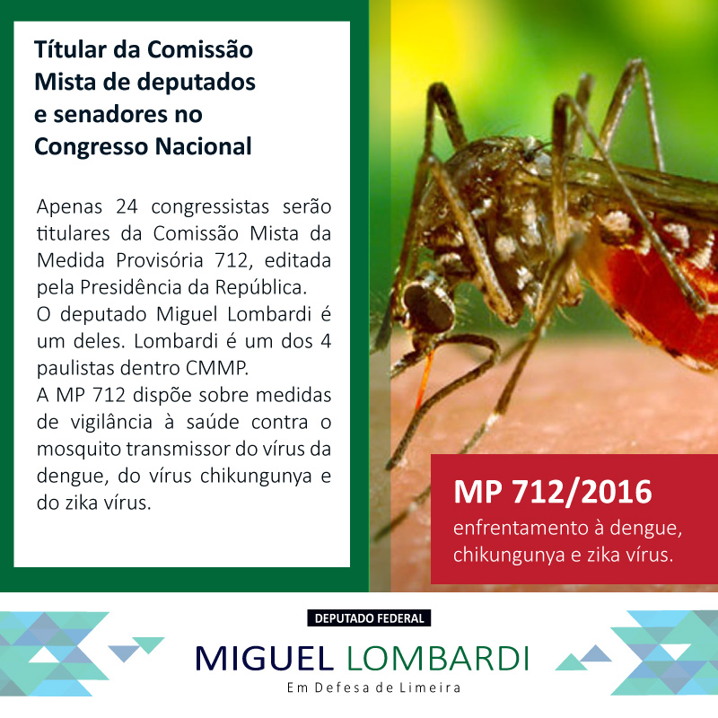 Lombardi é titular da comissão mista contra a dengue, chikungunya e zika ​vírus.