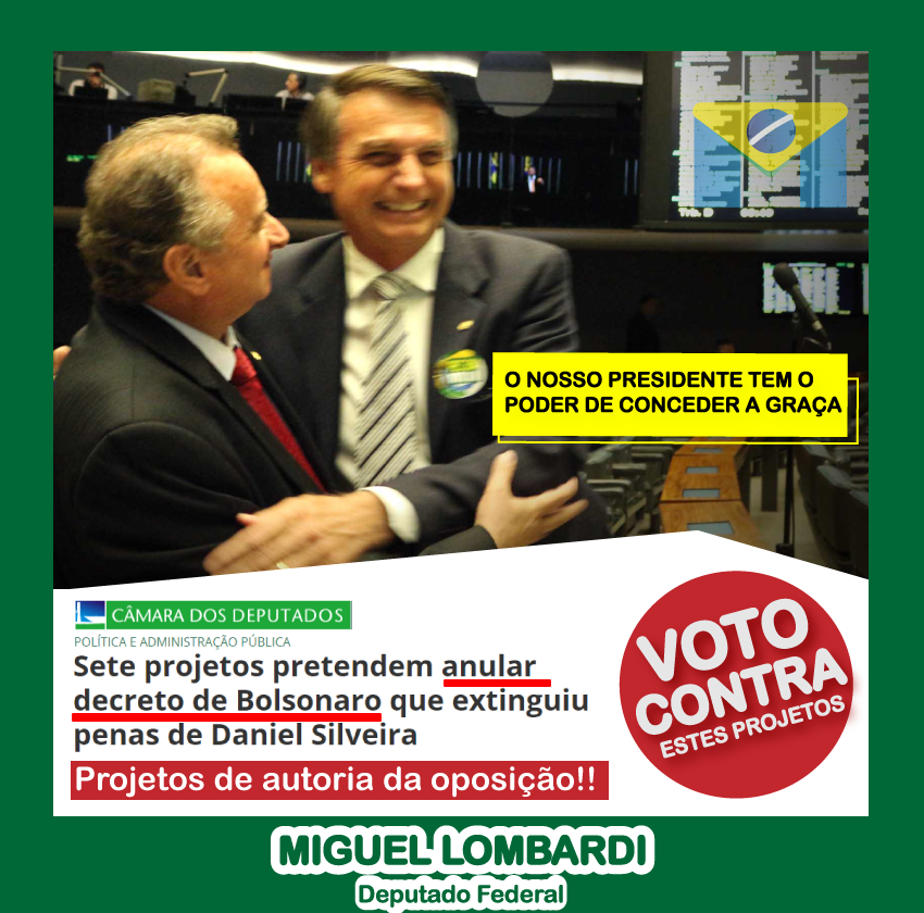 Miguel é contrário a 7 projetos que reduzem o poder de Bolsonaro